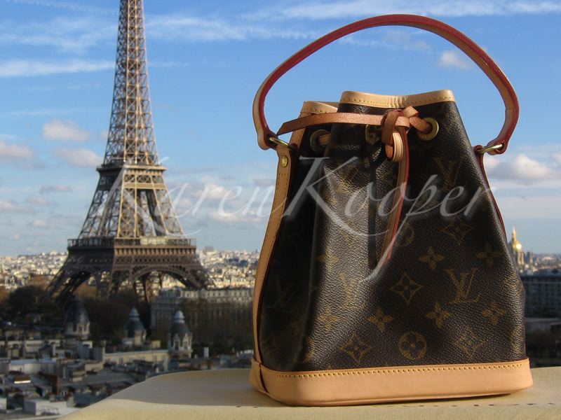 Louis Vuitton Monogram Canvas Mini Noe