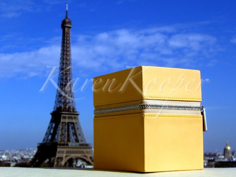 Louis Vuitton Cowhide Leather Jewellery Box