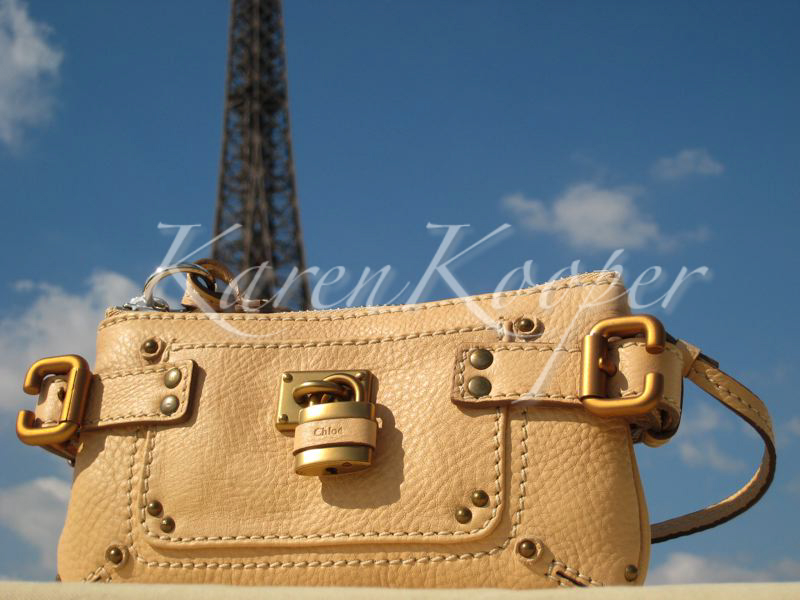 Chloe Paddington Mini Pochette Mais Bag