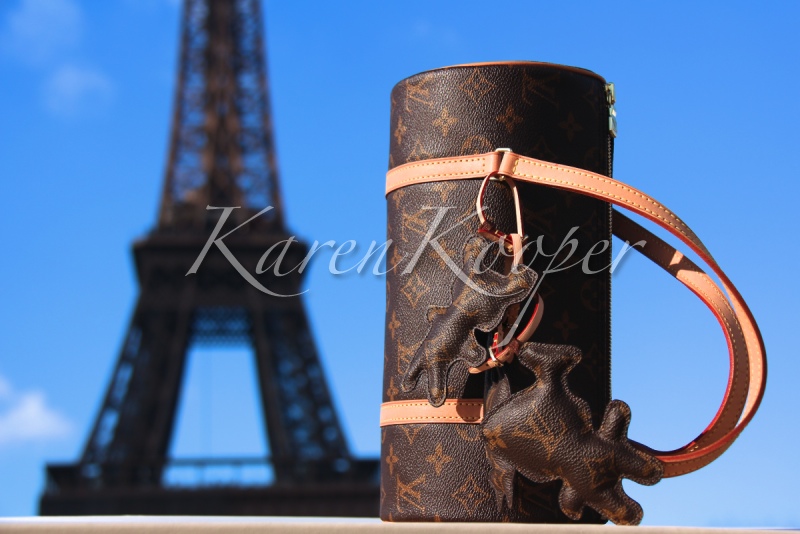 Louis Vuitton Comme des Garcons Papillon 26 Animal Charms