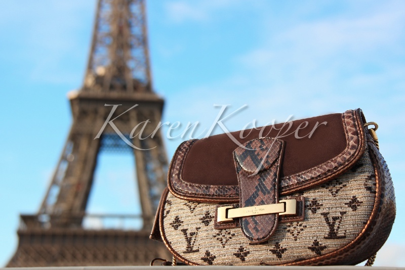 Louis Vuitton Monogram Empire Leavant Python Bag