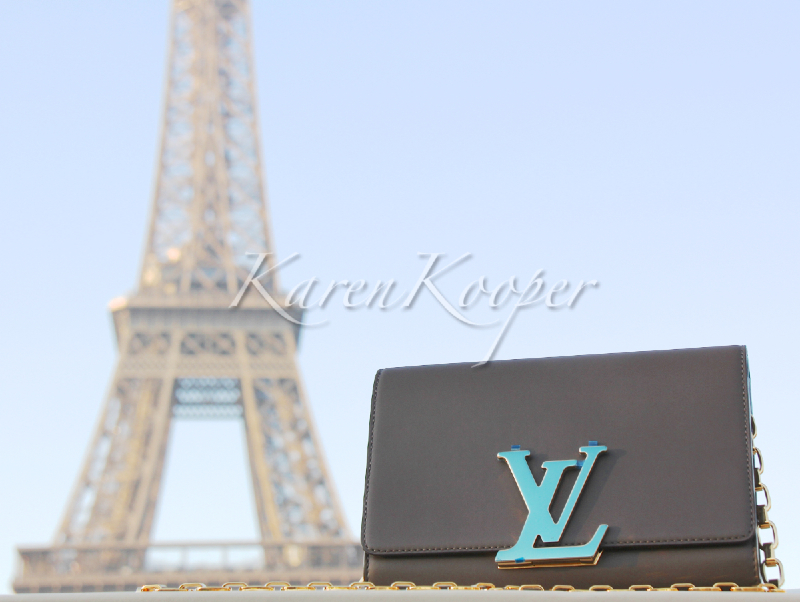 Louis Vuitton Louise Neo Sobe Cuir Chain Bag