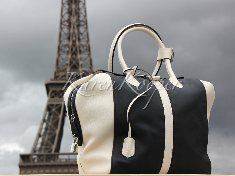 Louis Vuitton Suship North South Cuir Gourmand Bag
